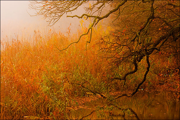 Amintiri din copilărie (15)