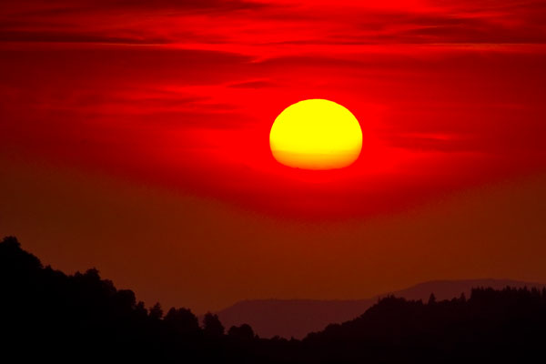 Amintiri din copilărie (12)