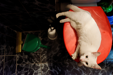 Supraviețuirea sau lupta în natură. Episodul 3g