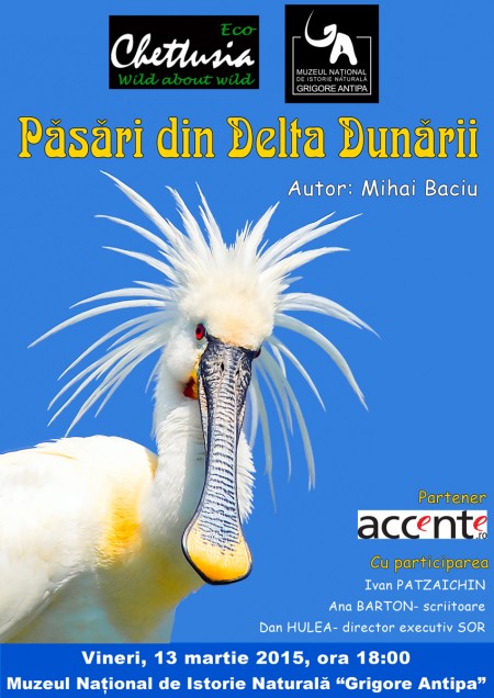 Fotografii, păsări și cărți!