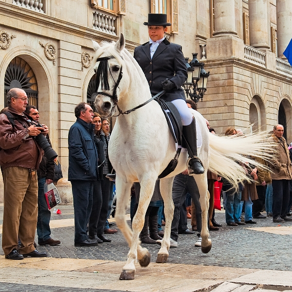 2010_01_23_AME26116.jpg - ASCII