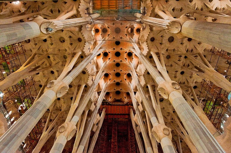 2010_01_24_AME26659.jpg - ASCII