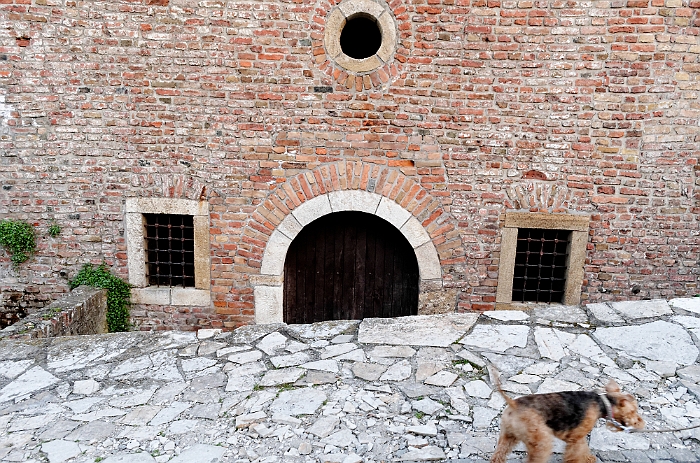 2013_04_26_AME6794.jpg - Marcel Eremia www.amedesign.ro