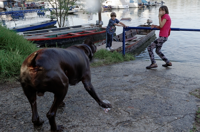 2013_04_28_AME7210.jpg - Marcel Eremia www.amedesign.ro