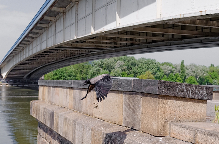 2013_04_30_AME7471.jpg - Marcel Eremia www.amedesign.ro