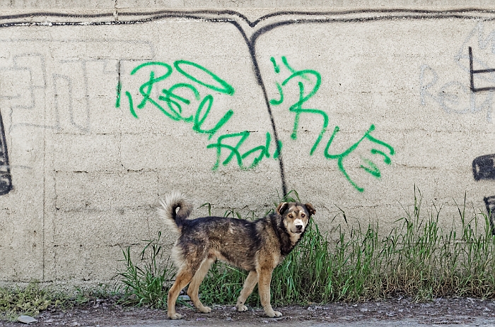 2013_04_30_AME7558.jpg - Marcel Eremia www.amedesign.ro