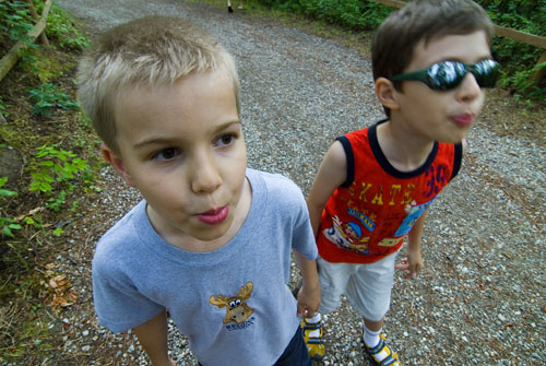 2008_07_01_AME14.940.jpg - (c) AME design www.amedesign.ro