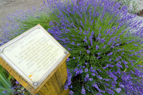 2008_07_01_AME15.014.jpg - (c) AME design www.amedesign.ro