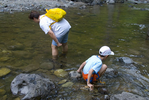 2008_07_02_AME15.065.jpg - (c) AME design www.amedesign.ro