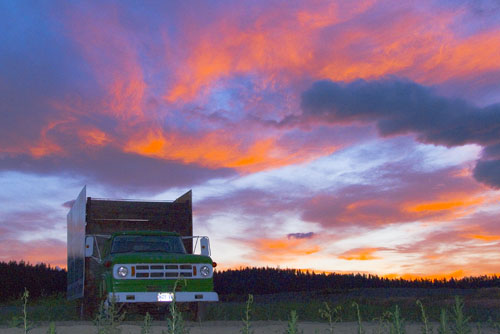 2008_07_05_AME15.420.jpg - (c) AME design www.amedesign.ro