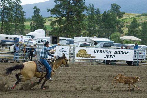 2008_07_06_AME15.596.jpg - (c) AME design www.amedesign.ro