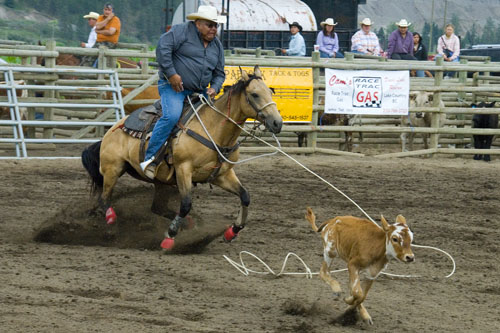 2008_07_06_AME15.607.jpg - (c) AME design www.amedesign.ro