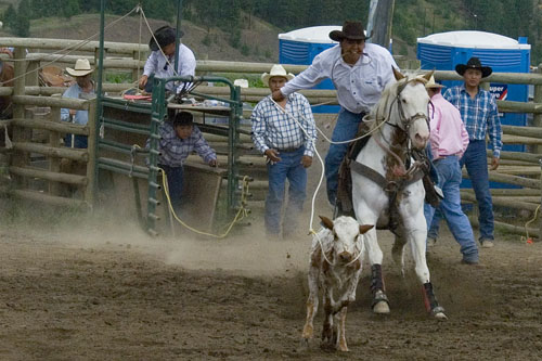 2008_07_06_AME15.617.jpg - (c) AME design www.amedesign.ro