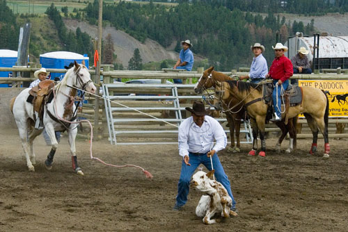 2008_07_06_AME15.620.jpg - (c) AME design www.amedesign.ro