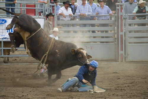 2008_07_06_AME15.641.jpg - (c) AME design www.amedesign.ro