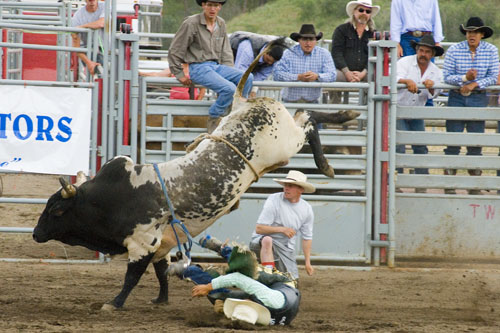 2008_07_06_AME15.656.jpg - (c) AME design www.amedesign.ro