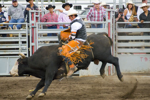 2008_07_06_AME15.693.jpg - (c) AME design www.amedesign.ro