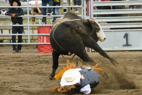 2008_07_06_AME15.699.jpg - (c) AME design www.amedesign.ro