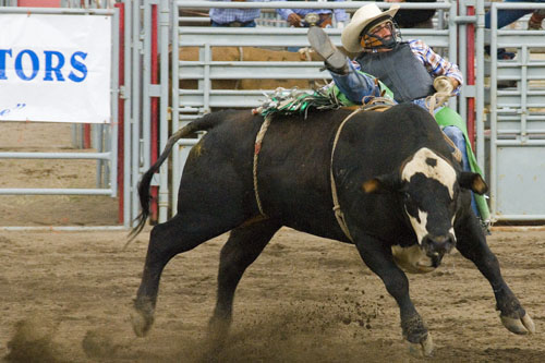 2008_07_06_AME15.708.jpg - (c) AME design www.amedesign.ro