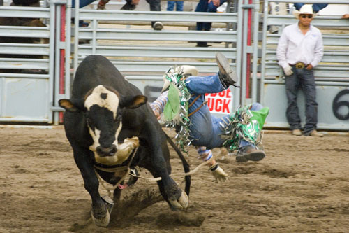 2008_07_06_AME15.710.jpg - (c) AME design www.amedesign.ro