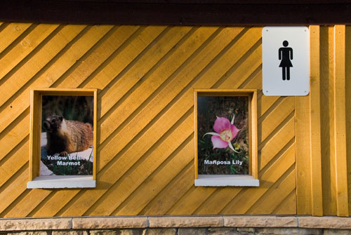 2008_07_10_AME15.923.jpg - (c) AME design www.amedesign.ro