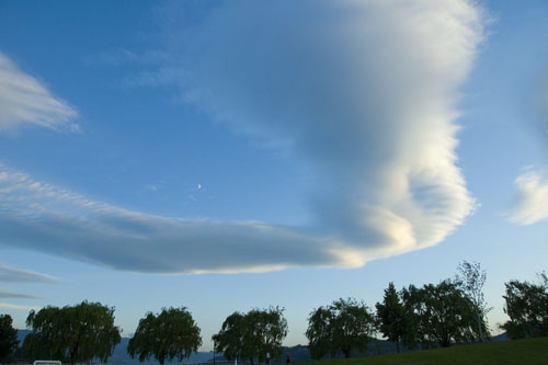 2008_07_10_AME15.944.jpg - (c) AME design www.amedesign.ro