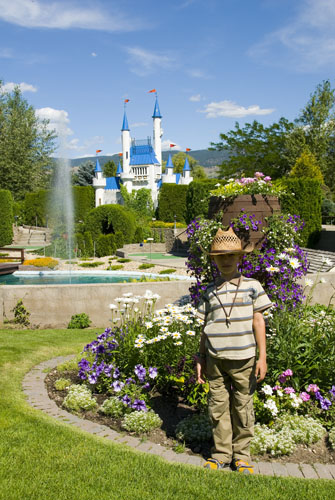 2008_07_12_AME16.025.jpg - (c) AME design www.amedesign.ro