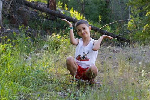 2008_07_13_AME16.214.jpg - (c) AME design www.amedesign.ro