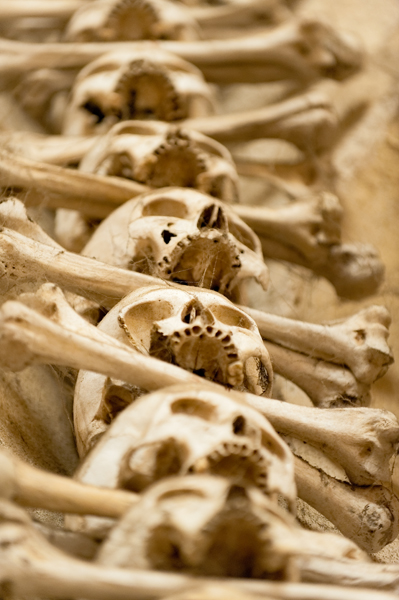 2012_07_12_AME42970.jpg - ASCII