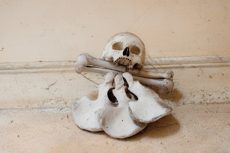 2012_07_12_AME42974.jpg - ASCII