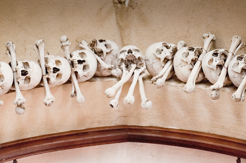 2012_07_12_AME42976.jpg - ASCII