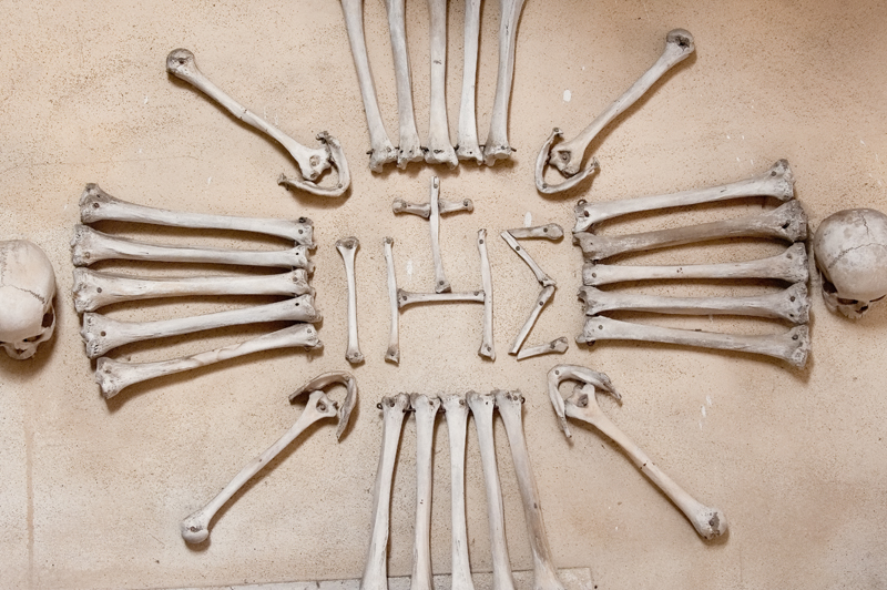 2012_07_12_AME42978.jpg - ASCII