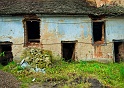 2009_11_28_AME22826