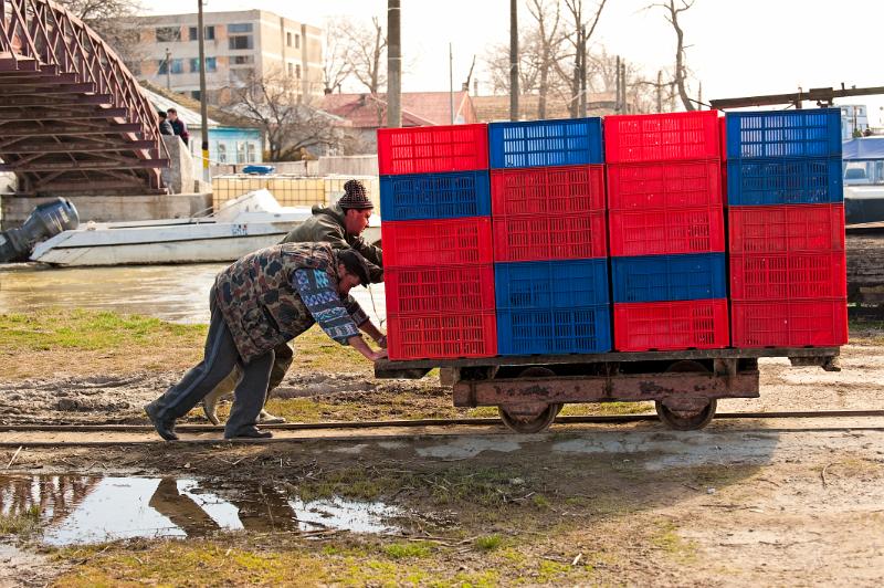 2010_03_27_AME29176.jpg - ASCII