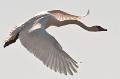 2010_03_27_AME29367