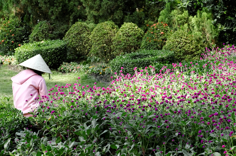 2014_02_27_AME13605.jpg - Marcel Eremia www.amedesign.ro