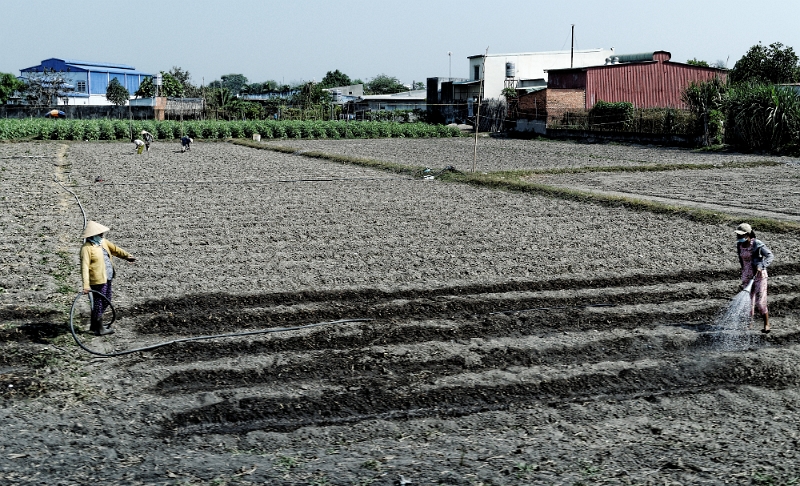 2014_02_28_AME13667.jpg - Marcel Eremia www.amedesign.ro