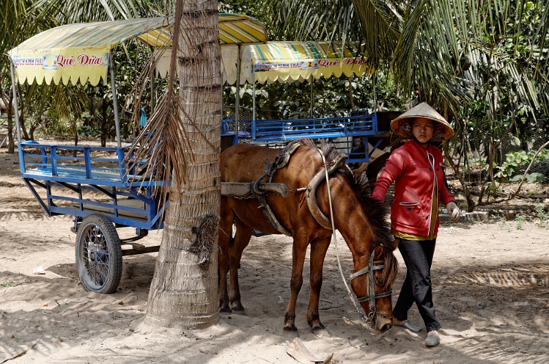 2014_03_01_AME13980.jpg - Marcel Eremia www.amedesign.ro