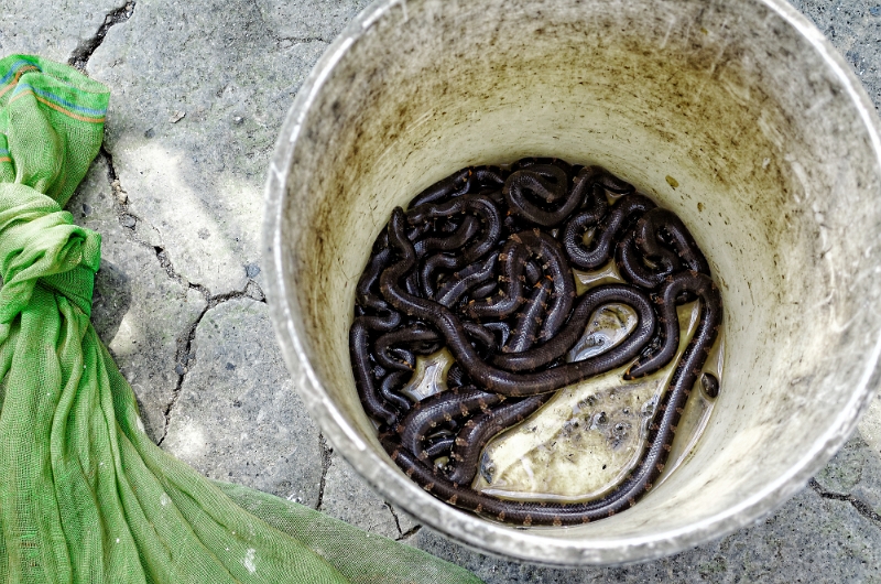 2014_03_02_AME14784.jpg - Marcel Eremia www.amedesign.ro