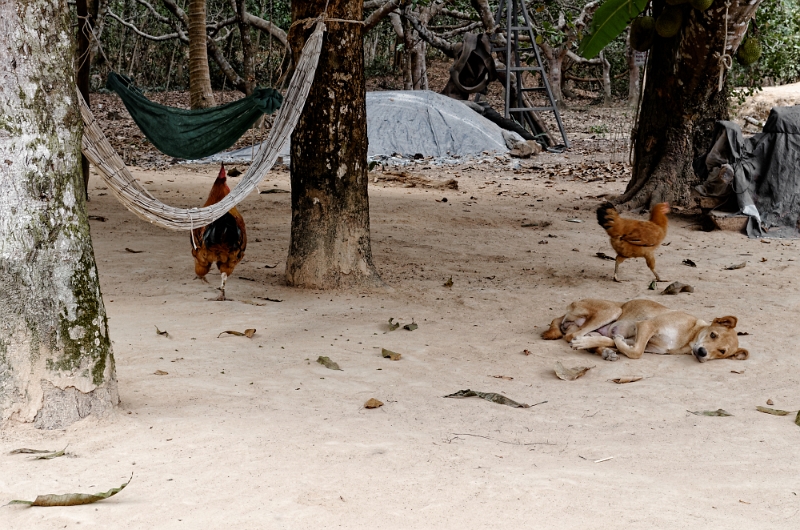 2014_03_05_AME14884.jpg - Marcel Eremia www.amedesign.ro