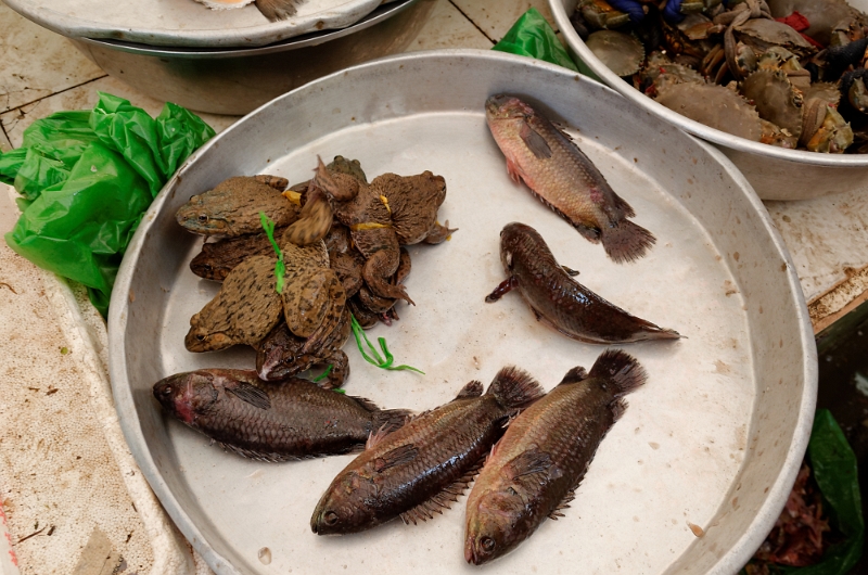 2014_03_08_AME15402.jpg - Marcel Eremia www.amedesign.ro