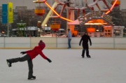 Patinoar-14 copy