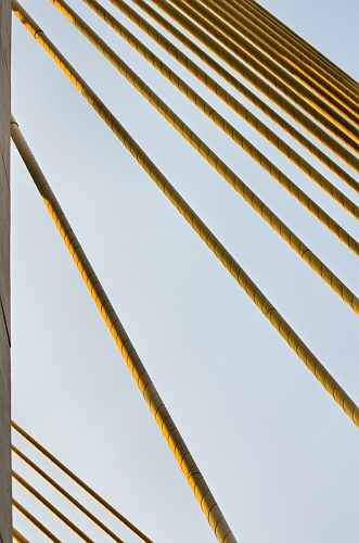 2011_06_18_AME1577.jpg - ASCII