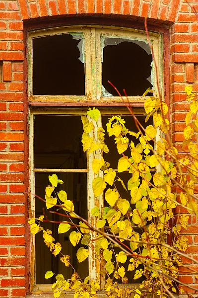 2009_11_21_AME22161.jpg - ASCII