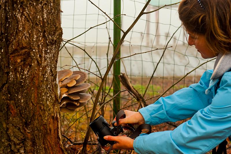 2009_11_21_AME22236.jpg - ASCII