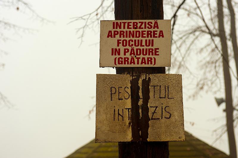 2009_11_21_AME22258.jpg - ASCII