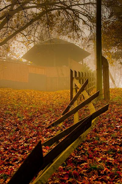 2009_11_21_AME22271.jpg - ASCII